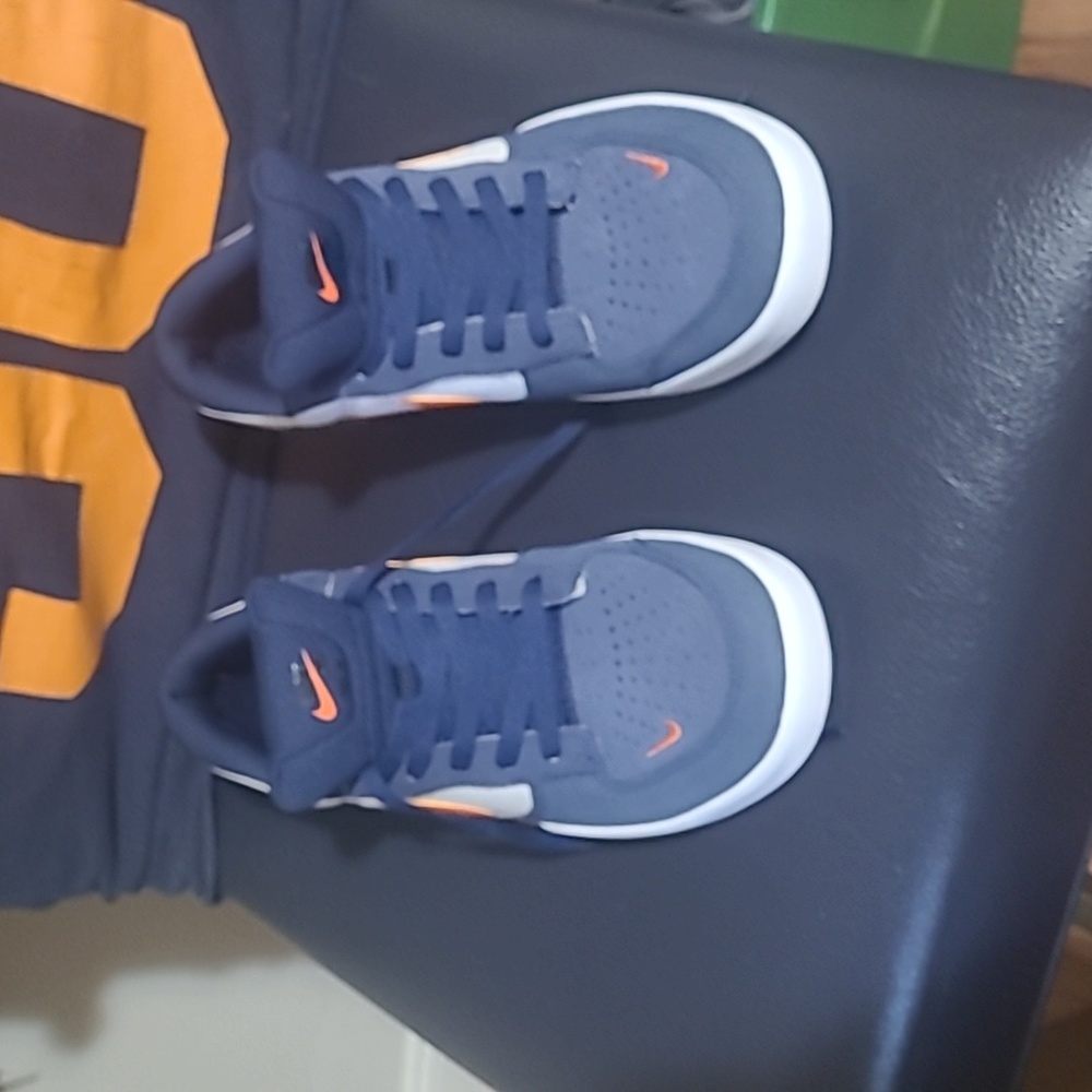 Nike SB